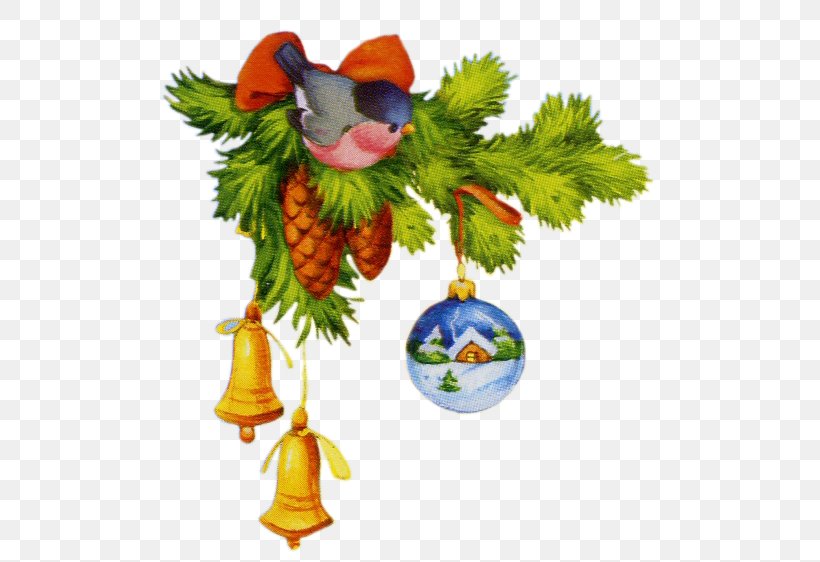New Year Christmas Day Novogodnyaya Holiday Winter, PNG, 524x562px, New Year, Beak, Bird, Branch, Christmas Download Free
