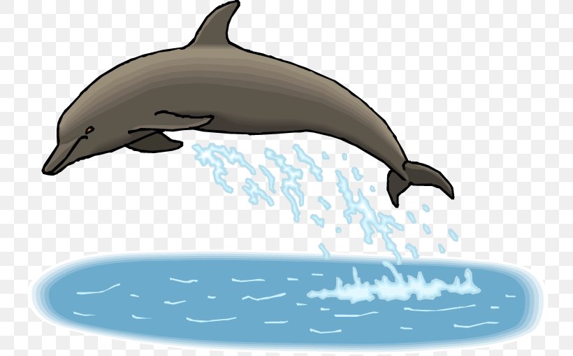 Spinner Dolphin All About Dolphins Bottlenose Dolphin Clip Art, PNG, 750x509px, Spinner Dolphin, All About Dolphins, Animal, Bottlenose Dolphin, Cetacea Download Free