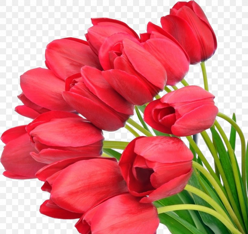 Tulip Flower Bouquet Red Desktop Wallpaper, PNG, 935x885px, Tulip, Artificial Flower, Color, Cut Flowers, Display Resolution Download Free