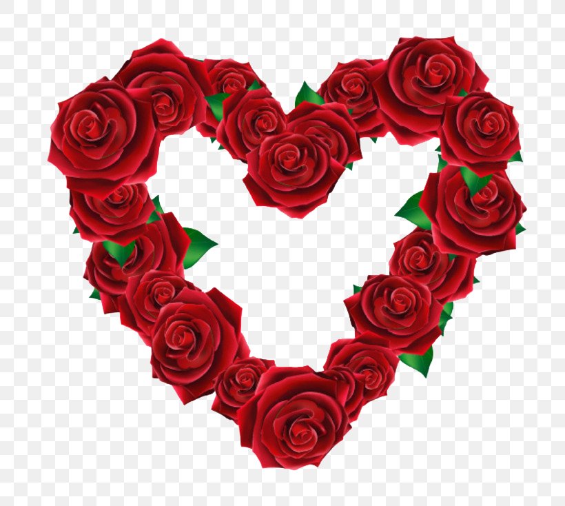 Beach Rose Euclidean Vector Heart, PNG, 750x734px, Beach Rose, Chart, Color, Cut Flowers, Element Download Free