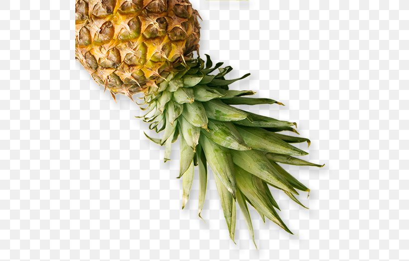 Pineapple Food Recipe Eating Veganism, PNG, 518x523px, Pineapple, Ananas, Baharat, Bromeliaceae, Commodity Download Free