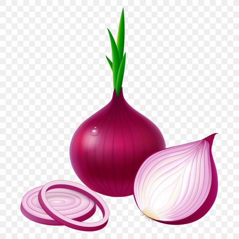 Potato Onion Red Onion Vegetable Garlic White Onion, PNG, 1000x1000px, Potato Onion, Food, Garlic, Ingredient, Magenta Download Free