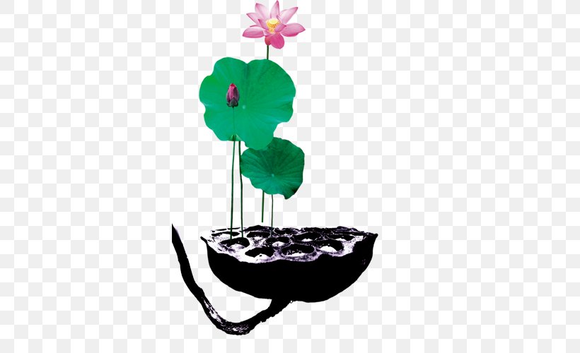 Nelumbo Nucifera Lotus Seed, PNG, 500x500px, Nelumbo Nucifera, Art, Chinoiserie, Flower, Flowering Plant Download Free
