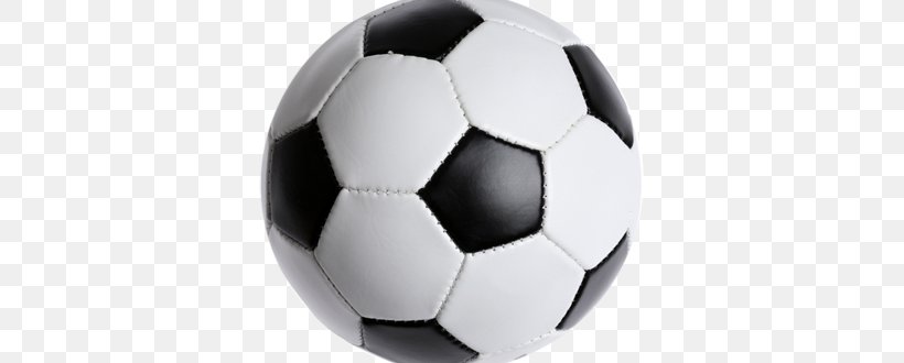 Football Team Adidas Brazuca Sport, PNG, 445x330px, Ball, Adidas Brazuca, Ball Game, Basketball, Coach Download Free