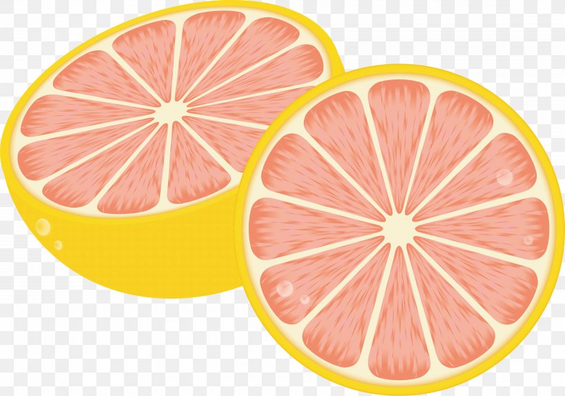 Fruit Illustration Vector Graphics Image Pomelo, PNG, 3840x2689px, Fruit, Citreae, Citric Acid, Citrus, Copyright Download Free