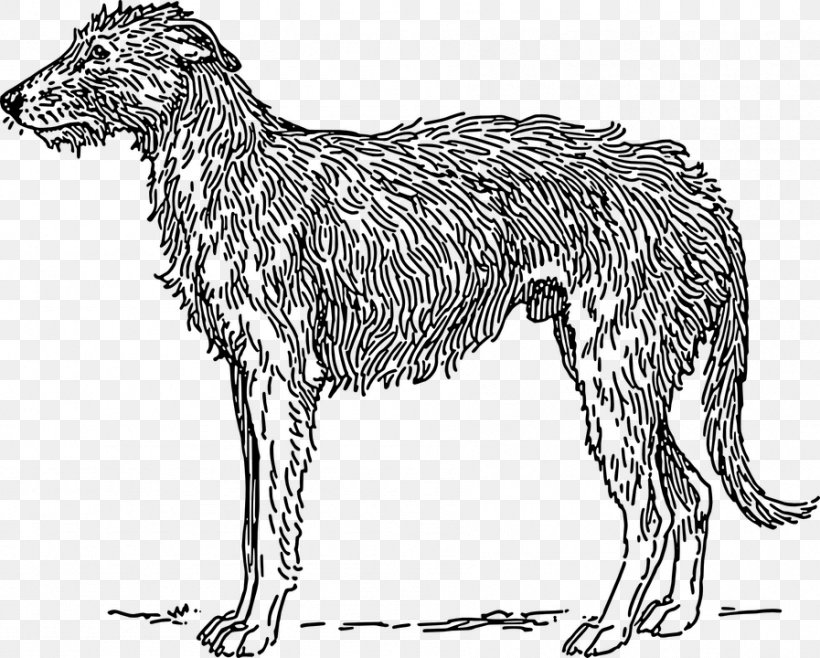 Scottish Deerhound Borzoi American Staghound Irish Wolfhound Bloodhound, PNG, 897x720px, Scottish Deerhound, American Staghound, Animal Figure, Basset Hound, Black And White Download Free