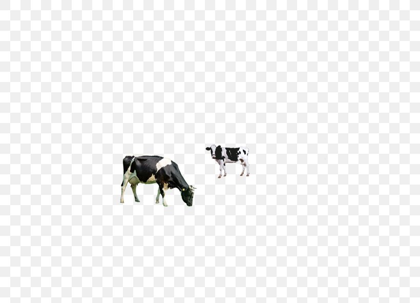 Dairy Cattle Milk Breakfast, PNG, 591x591px, Cattle, Black, Breakfast, Cow, Cows Milk Download Free