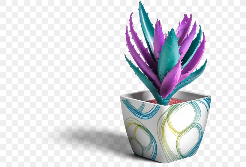 Flowerpot Mockup Graphic Design Logo, PNG, 589x558px, Flowerpot, Cup, Flower, Flowering Plant, Garden Download Free