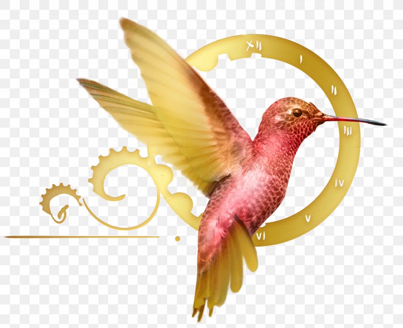 Hummingbird M Business Entrepreneurship System, PNG, 2178x1776px, Hummingbird, Beak, Bird, Business, Drawing Download Free