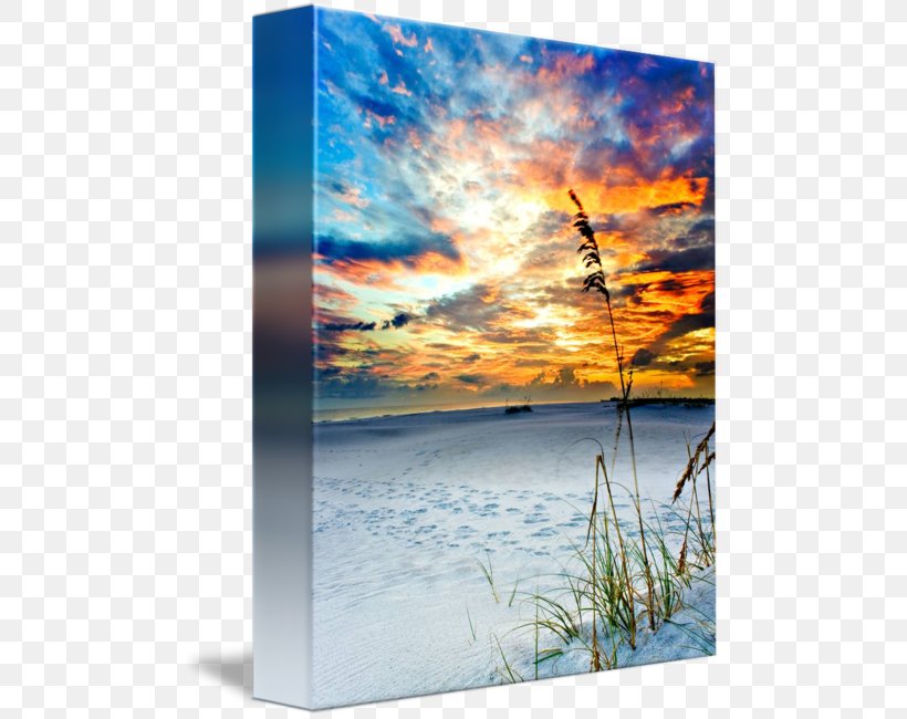 Shore Picture Frames Gallery Wrap Sea Energy, PNG, 487x650px, Shore, Art, Beach, Calm, Canvas Download Free