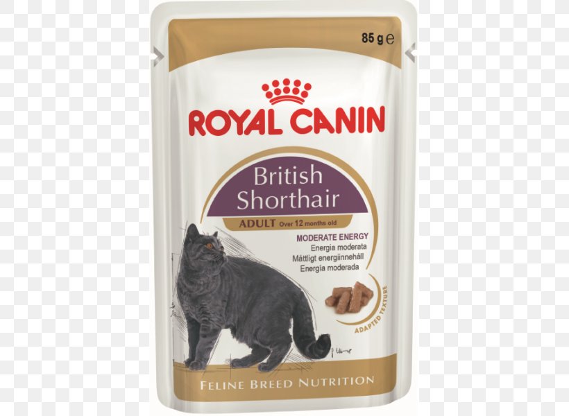 British Shorthair Cat Food Dog Kitten Maine Coon, PNG, 600x600px, British Shorthair, Carnivoran, Cat, Cat Food, Dog Download Free
