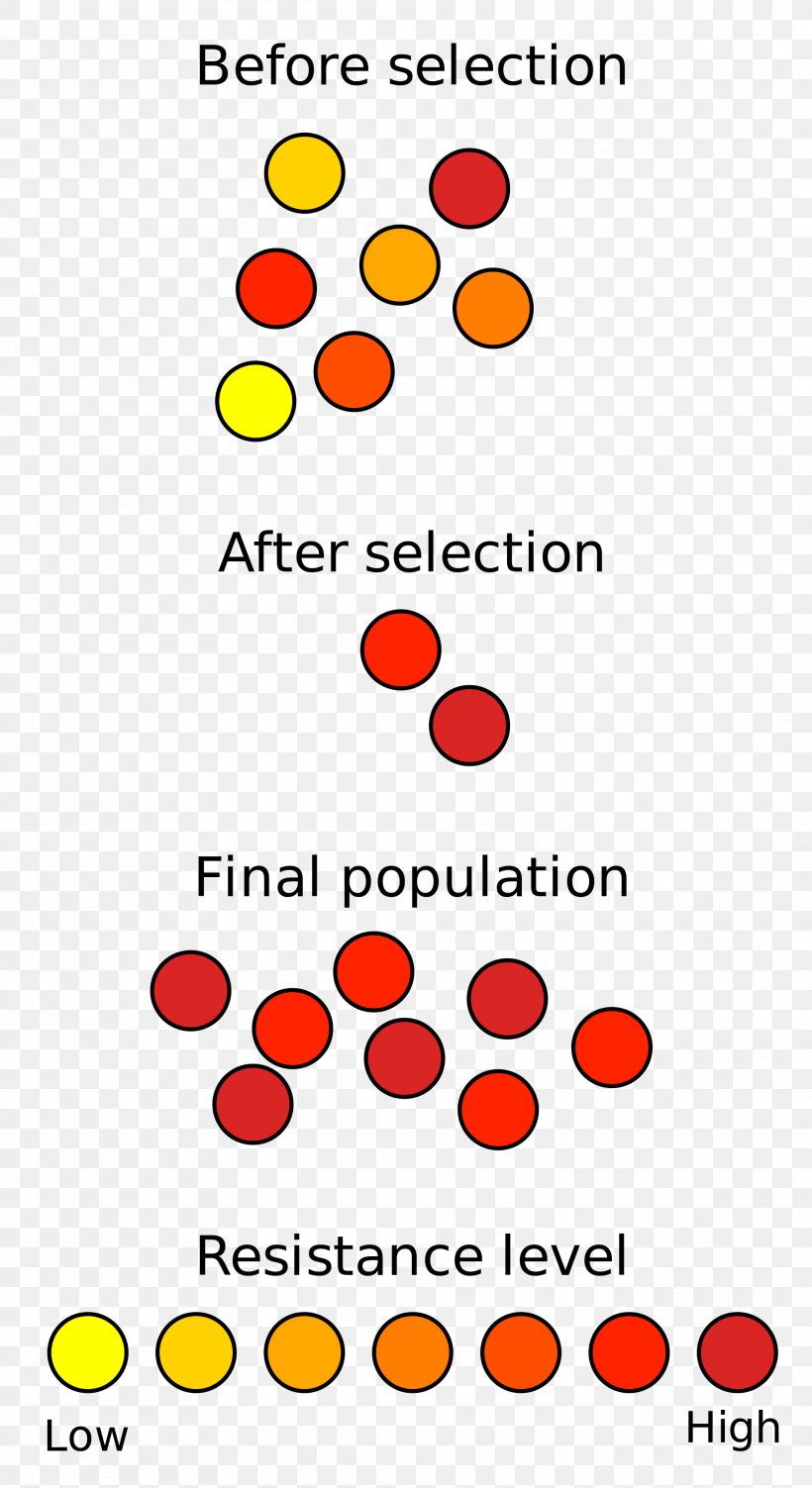 Campbell Biology: Concepts And Connections Natural Selection Evolution Nature, PNG, 1920x3520px, Natural Selection, Alfred Russel Wallace, Area, Biology, Charles Darwin Download Free