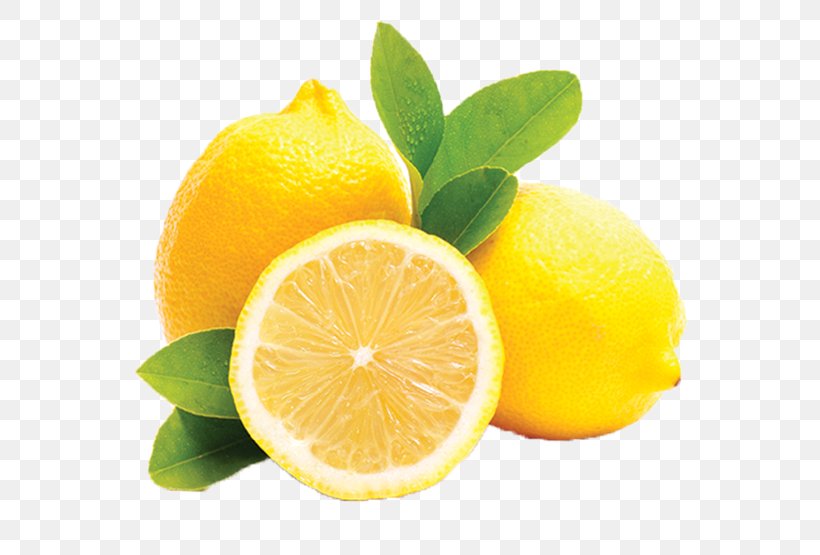 Mayorazgo Export S.L. Lemon Agesco SL Sorbet Fruit, PNG, 640x555px, Mayorazgo Export Sl, Bitter Orange, Citric Acid, Citron, Citrus Download Free