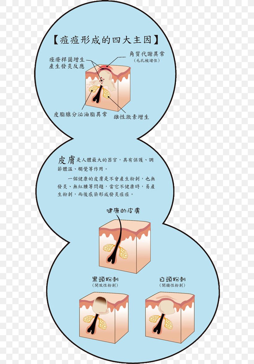 Taoyuan County, Taiwan Organism Human Behavior Toxin Immunity, PNG, 600x1173px, Taoyuan County Taiwan, Acne, Area, Behavior, Cartoon Download Free