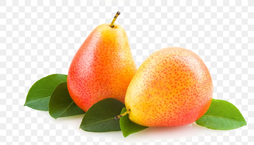 Asian Pear European Pear Perry Fruit Tree, PNG, 773x470px, Asian Pear, Accessory Fruit, Apple, Apricot, Citrus Download Free