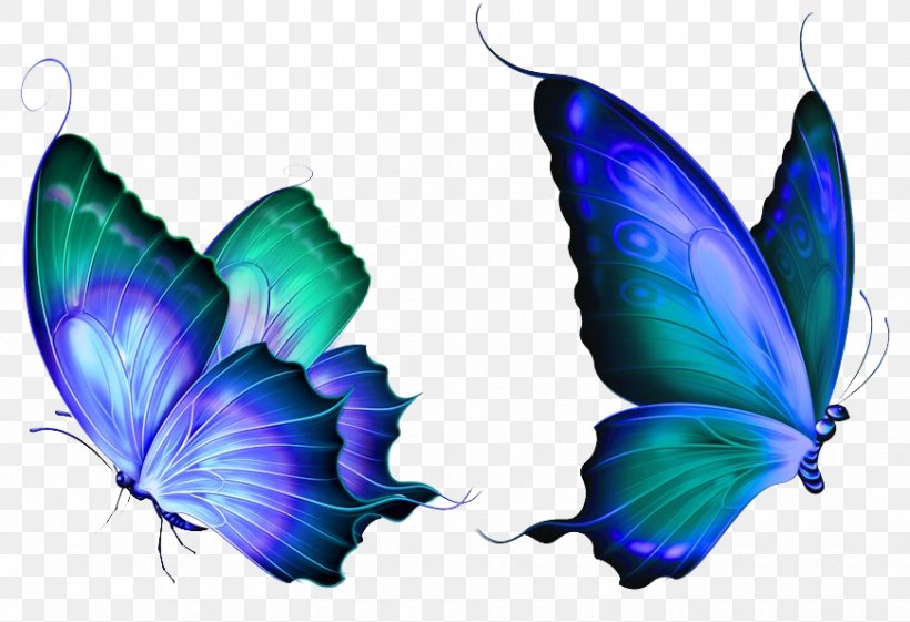 Butterfly Clip Art, PNG, 870x596px, Butterfly, Apple Icon Image Format, Bmp File Format, Color, Ico Download Free