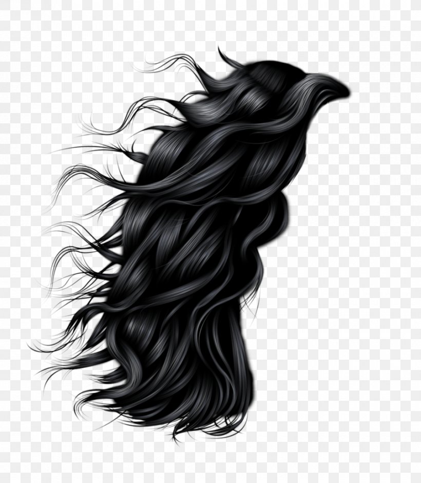 Hairstyle Clip Art, PNG, 900x1032px, Hair, Afro Textured Hair, Black And White, Black Hair, Brown Hair Download Free
