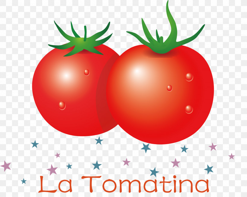 La Tomatina Tomato Throwing Festival, PNG, 3000x2401px, La Tomatina, Bush Tomato, Datterino Tomato, Eating, Fruit Download Free