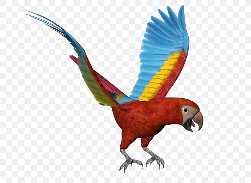 Macaw Owl Bird, PNG, 647x600px, Macaw, Animal Figure, Beak, Bird, Common Pet Parakeet Download Free