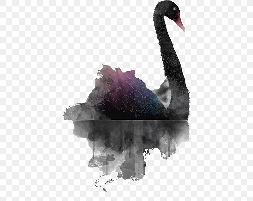 Black Swan Illustration, PNG, 415x653px, Black Swan, Beak, Bird, Cygnini, Geese And Swans Download Free