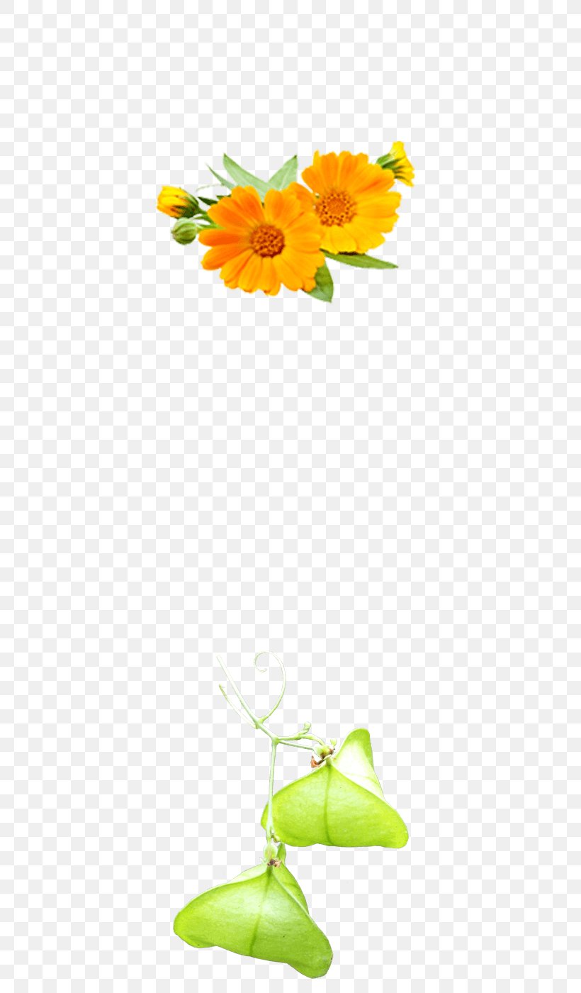 Common Sunflower Floral Design Cut Flowers Hair Styling Products, PNG, 460x1400px, Common Sunflower, Cut Flowers, Floral Design, Floristry, Flower Download Free