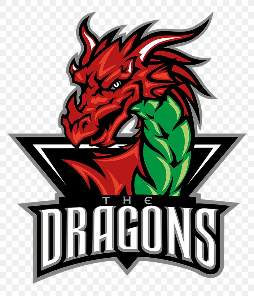 Deeside Dragons Solway Sharks Telford Tigers Flintshire Freeze National Ice Hockey League, PNG, 1024x1196px, Deeside Dragons, Artwork, Brand, Coach, Dragon Download Free