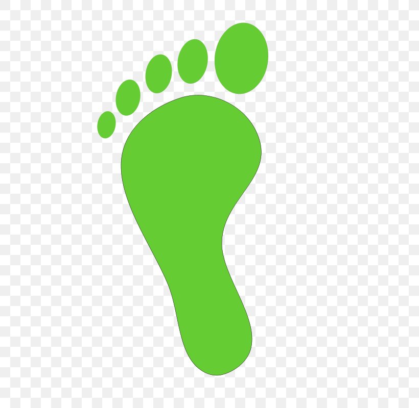 Footprint Clip Art, PNG, 800x800px, Foot, Cartoon, Finger, Footprint, Free Content Download Free