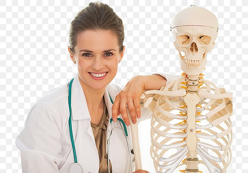 Human Skeleton Bone Density Joint, PNG, 719x573px, Skeleton, Anatomy, Bone, Bone Density, Bone Fracture Download Free