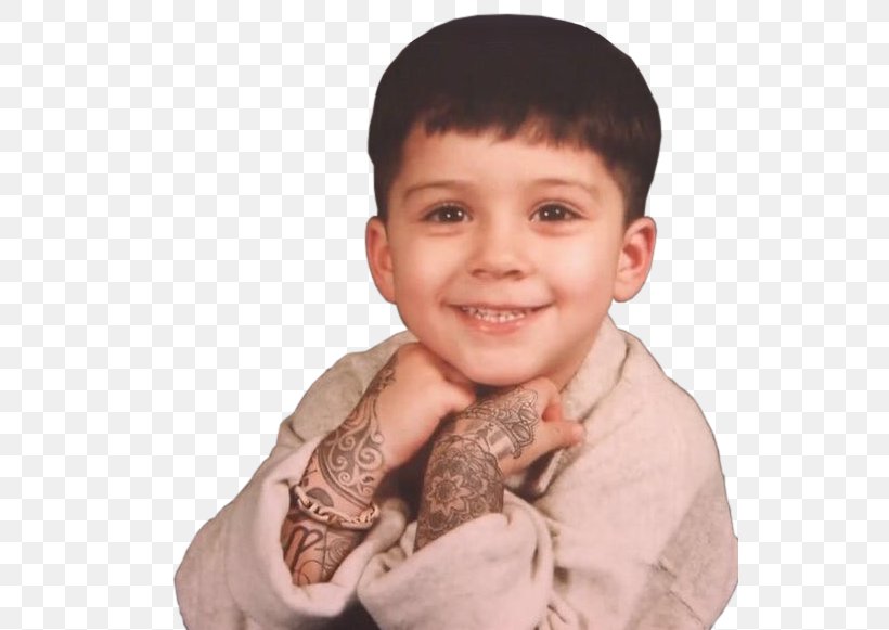 Mind Of Mine PILLOWTALK INTERMISSION:floWer Song Album, PNG, 543x581px, Mind Of Mine, Album, Arm, Cheek, Child Download Free