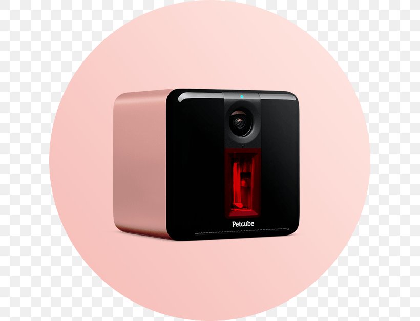 Petcube Play Petcube Camera Smart Camera Wi-Fi, PNG, 627x627px, Petcube Play, Camera, Cat, Dog, Electronic Device Download Free