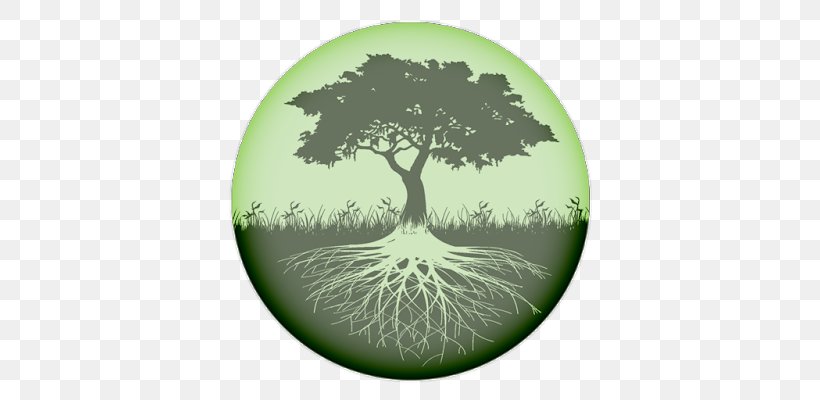 Tree Of Life Root, PNG, 400x400px, Tree, Branch, Celtic Sacred Trees, Grass, Oak Download Free