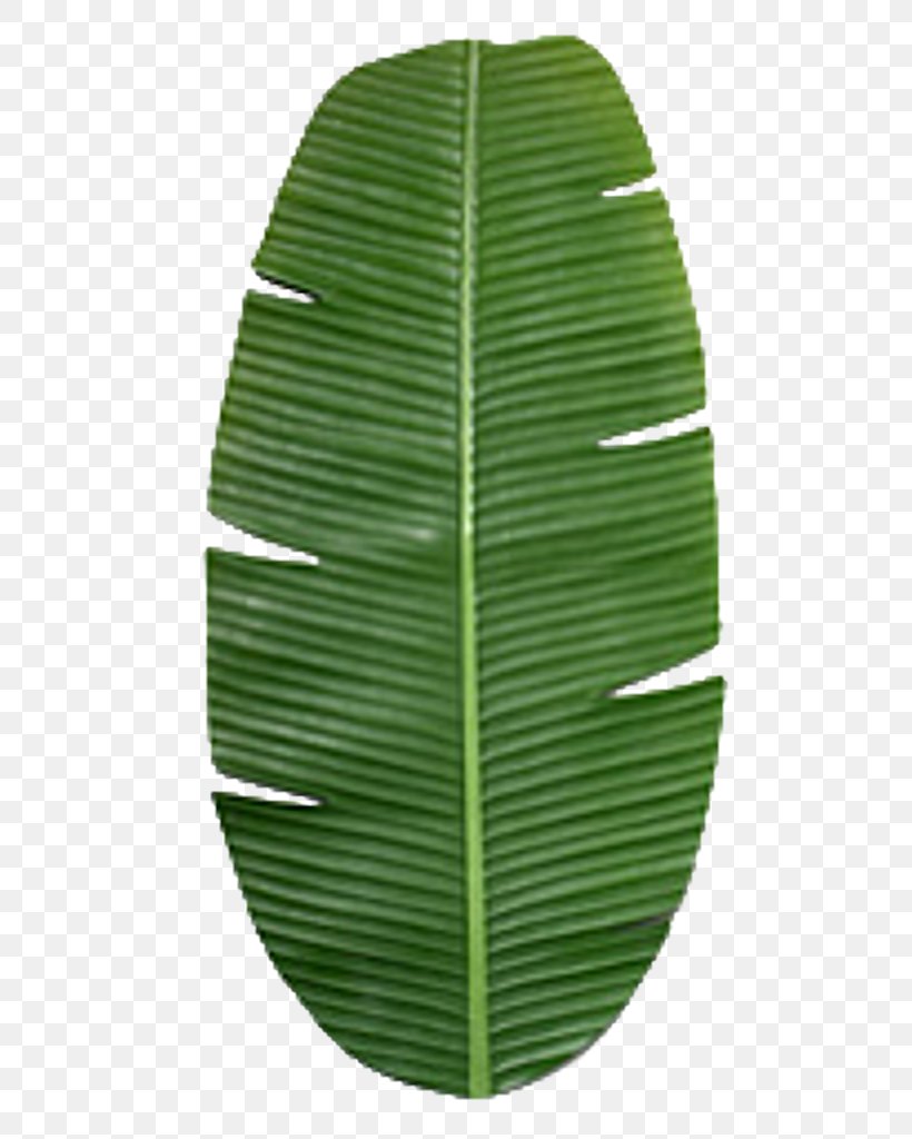 Banana Leaf Texture Mapping, PNG, 512x1024px, Banana Leaf, Banana, Blender, Color, Grass Download Free