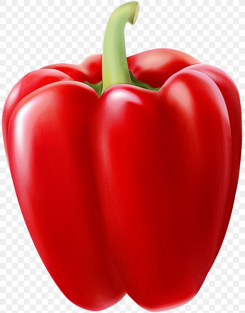 Vegetable Cartoon, PNG, 2347x3000px, Watercolor, Bell Pepper, Bell Peppers And Chili Peppers, Capsicum, Cayenne Pepper Download Free