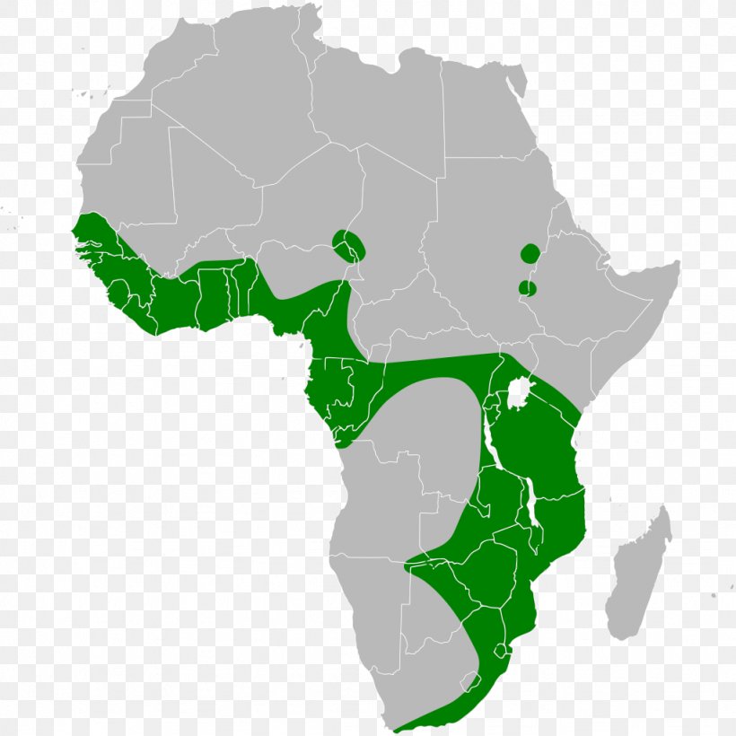 Africa Vector Map, PNG, 1024x1024px, Africa, African Union, Blank Map, Grass, Green Download Free