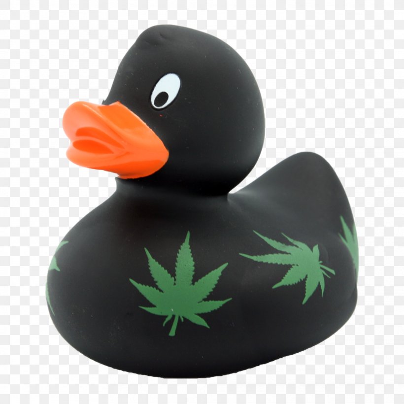 Rubber Duck Bathtub Bathing Toy, PNG, 2024x2024px, Duck, Bathing, Bathroom, Bathtub, Beak Download Free