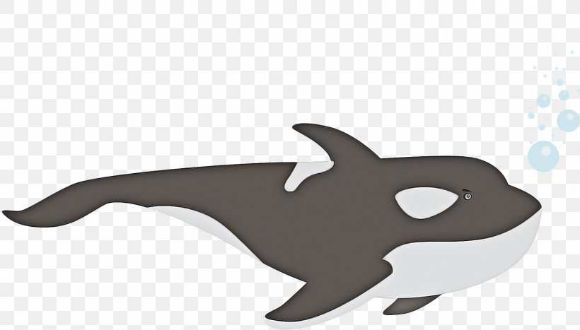 Shark Logo, PNG, 1756x1001px, Dolphin, Animal, Animal Figure, Animation, Cartoon Download Free