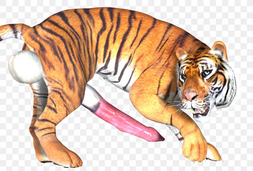Tiger Cat Wildlife, PNG, 1026x695px, Tiger, Animal, Animal Figure, Big Cat, Big Cats Download Free