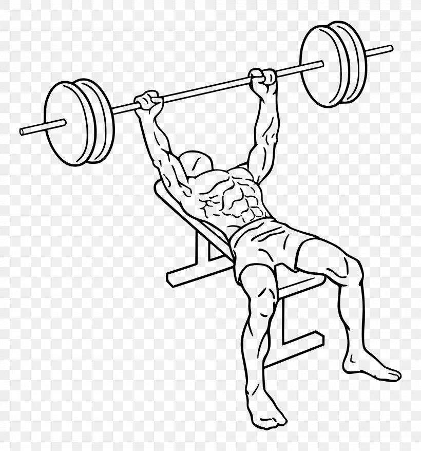 Bench Press Weight Training Barbell Exercise, PNG, 2000x2143px, Bench Press, Area, Arm, Artwork, Barbell Download Free