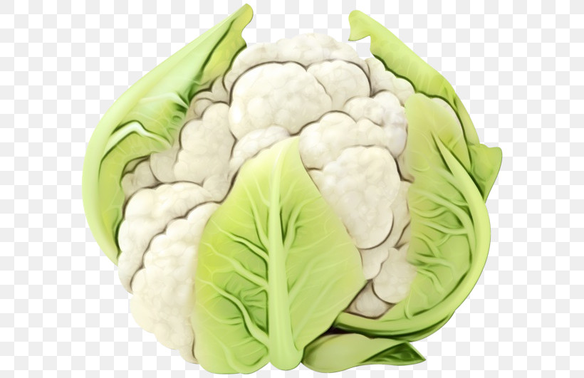 Cauliflower, PNG, 600x531px, Watercolor, Cabbage, Cauliflower, Leaf Vegetable, Paint Download Free