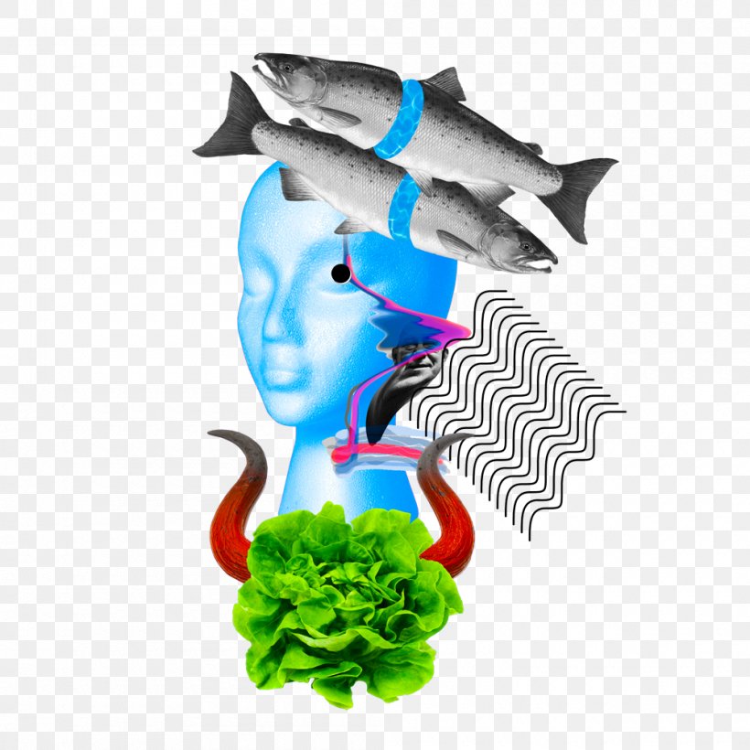 Graphics Butterhead Lettuce Illustration Hjerter Es Fish, PNG, 1000x1000px, Butterhead Lettuce, Budget, Fish, Legendary Creature, Lettuce Download Free