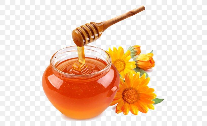 Honey Garlic Sauce Bee Transparency, PNG, 500x500px, Honey, Apple, Bee, Food, Honey Bee Download Free