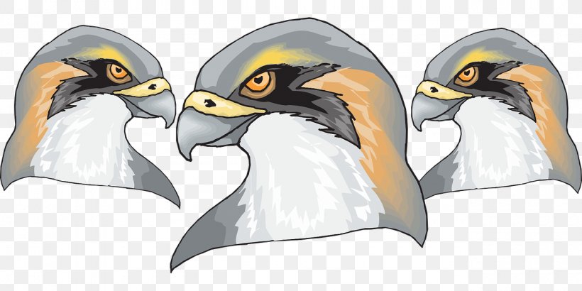Penguin Bird Of Prey Beak Falcon, PNG, 1280x640px, Penguin, Animal, Animal Figure, Beak, Bird Download Free