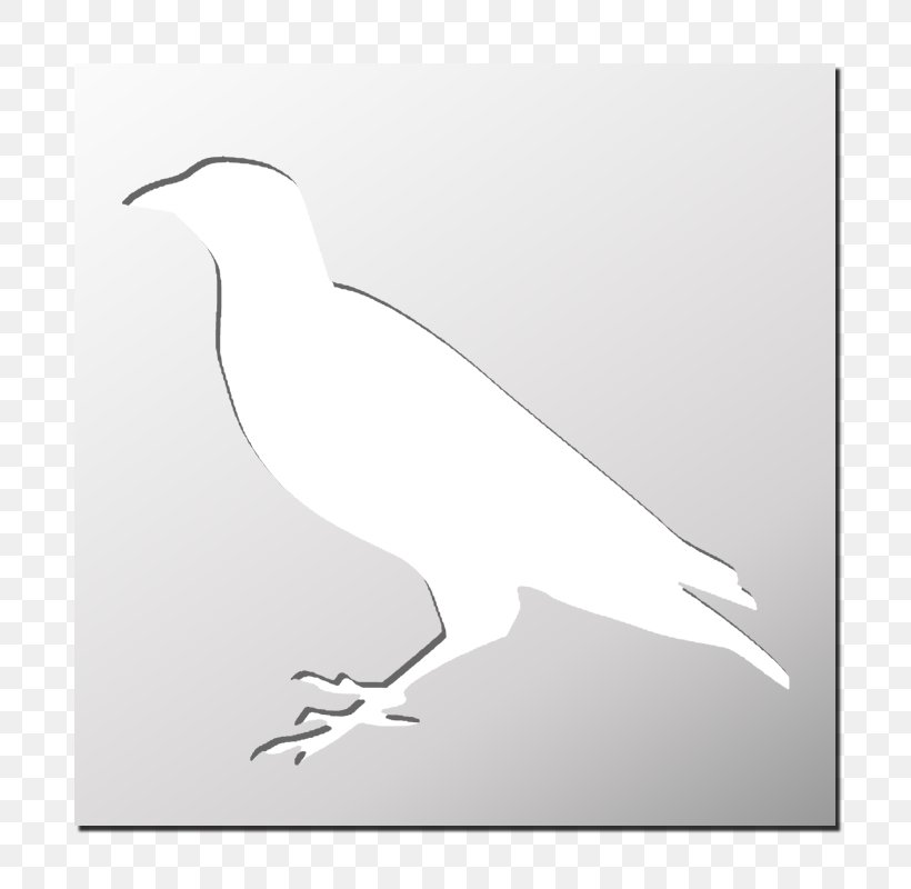 Bird Of Prey Stencil Silhouette FRENCHIMMO, PNG, 800x800px, Bird, Animal, Beak, Bird Of Prey, Black And White Download Free