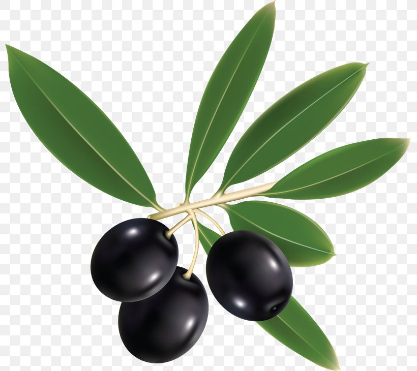 Olive Leaf Mediterranean Cuisine Clip Art, PNG, 800x730px, Olive, Drawing, Fruit, Mediterranean Cuisine, Oil Download Free