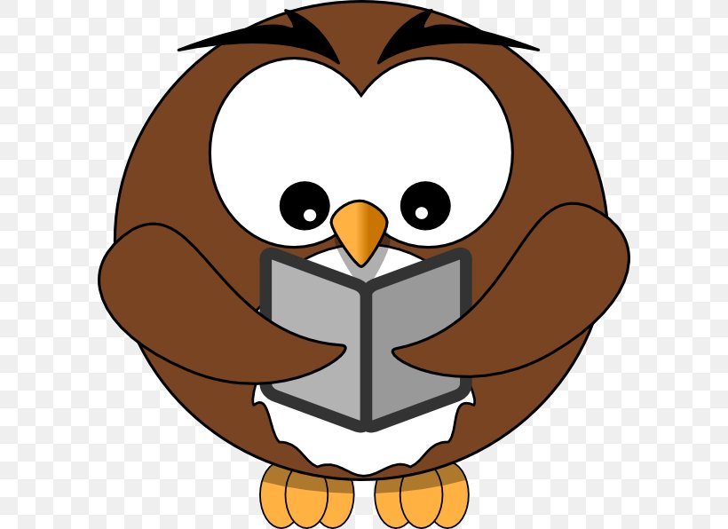 Owl Reading Book Clip Art, PNG, 600x596px, Owl, Beak, Bird, Book, Document Download Free