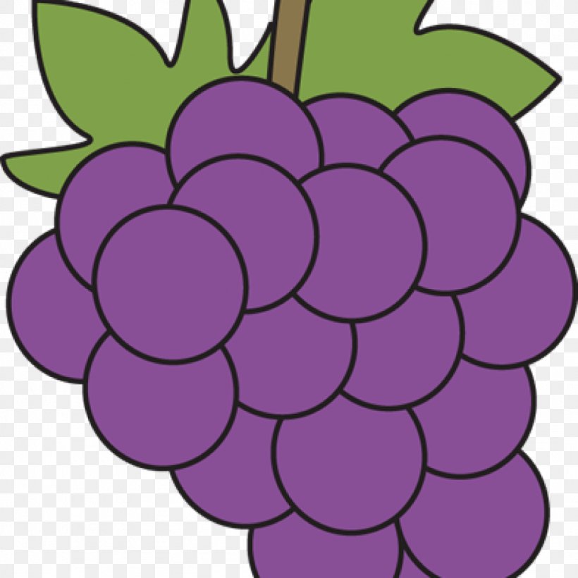 Clip Art Common Grape Vine Free Content, PNG, 1024x1024px, Common Grape Vine, Drawing, Flower, Flowering Plant, Food Download Free