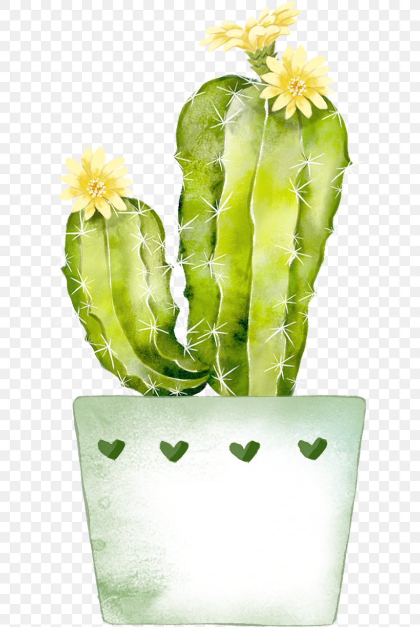 Cactaceae Watercolor Painting Green, PNG, 614x1225px, Cactaceae, Animation, Cactus, Cartoon, Color Download Free