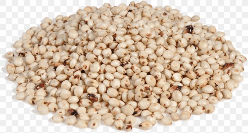 Lentil Food Cereal Porridge Split Pea, PNG, 1500x809px, Lentil, Buckwheat, Cereal, Commodity, Echinochloa Frumentacea Download Free