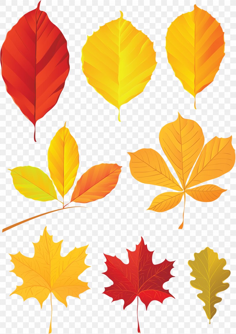 Autumn Leaf Color, PNG, 3916x5548px, Leaf, Art, Autumn, Autumn Leaf Color, Grape Leaves Download Free