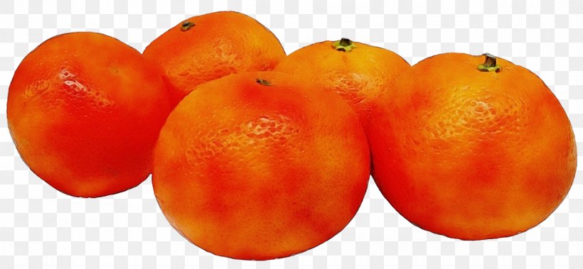 Orange, PNG, 1263x585px, Watercolor, Citrus, Food, Fruit, Mandarin Orange Download Free